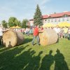 PIKNIK 2012 223